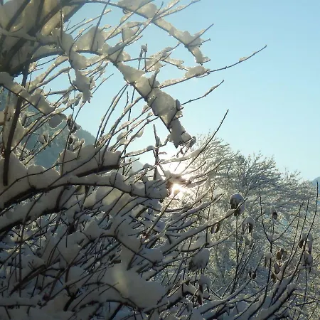 بيت للعطل Einsiedler سانكت غالنكرش