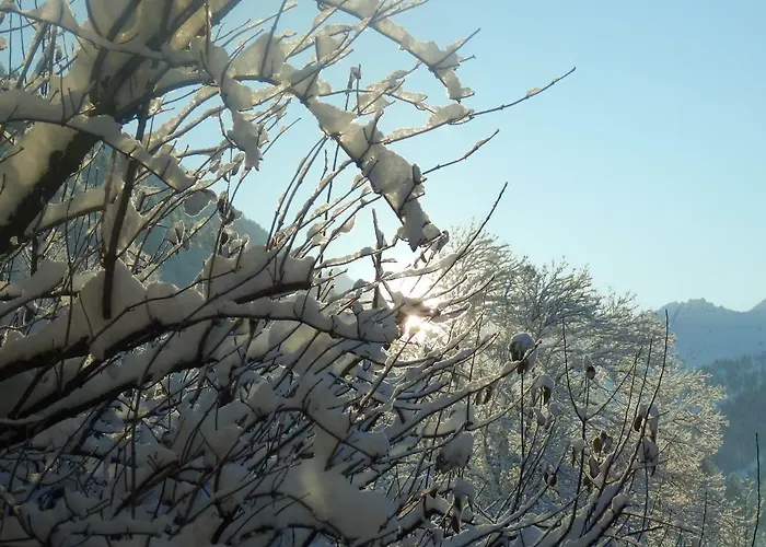 بيت للعطل Einsiedler سانكت غالنكرش